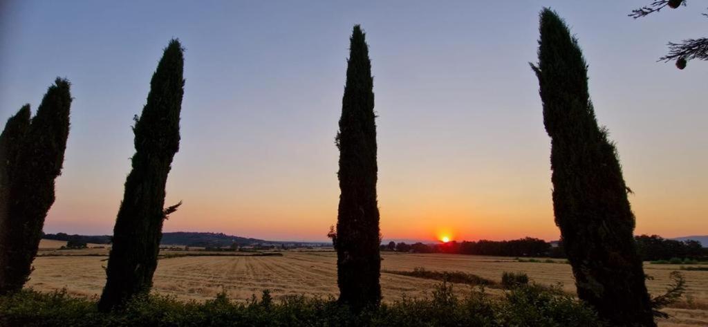 Agriturismo Il Canneto Casole dʼElsa Kültér fotó