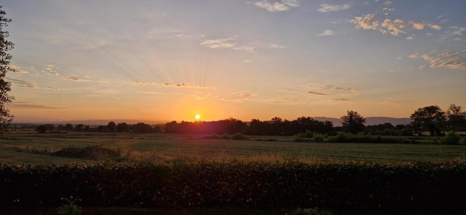 Agriturismo Il Canneto Casole dʼElsa Kültér fotó